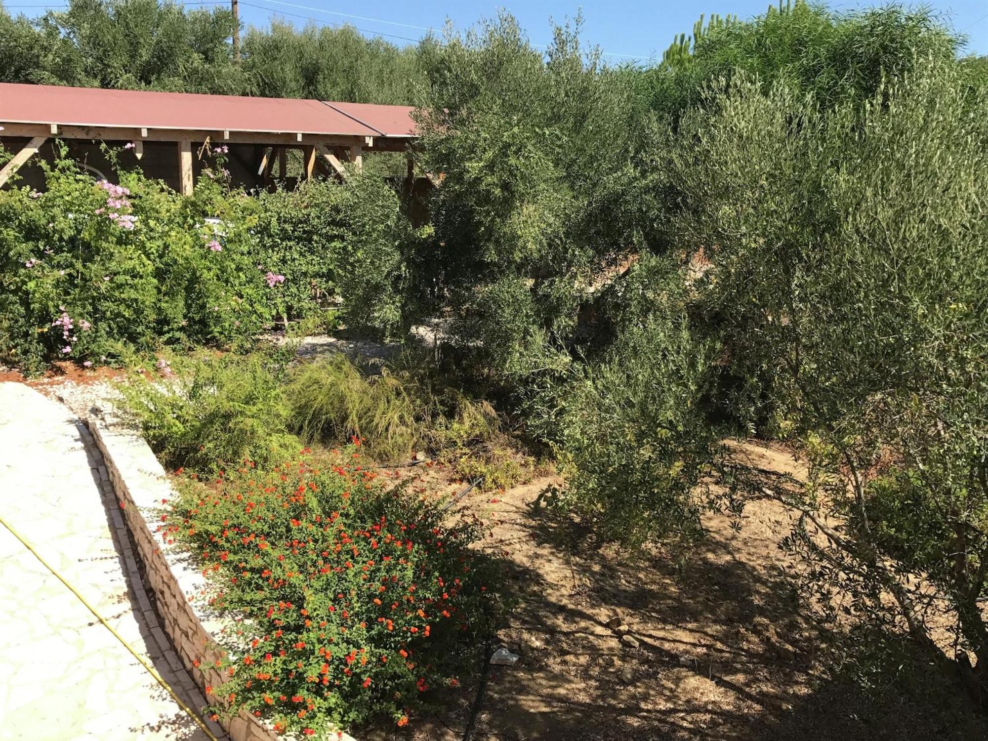 Luxurious Villa In Peloponnese With Swimming Pool Kamária エクステリア 写真